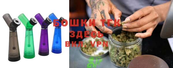 эйфоретик Новодвинск